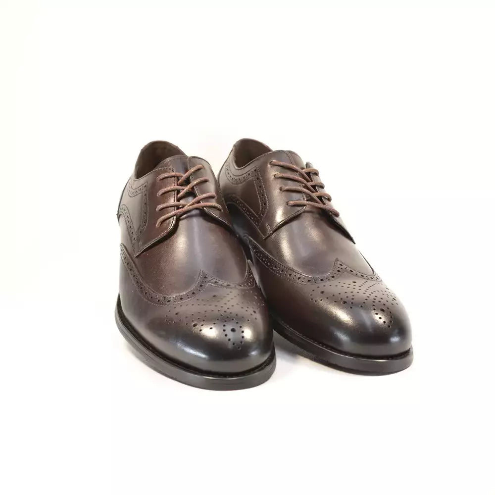 Derby barbati 24522-2 wingtip maro