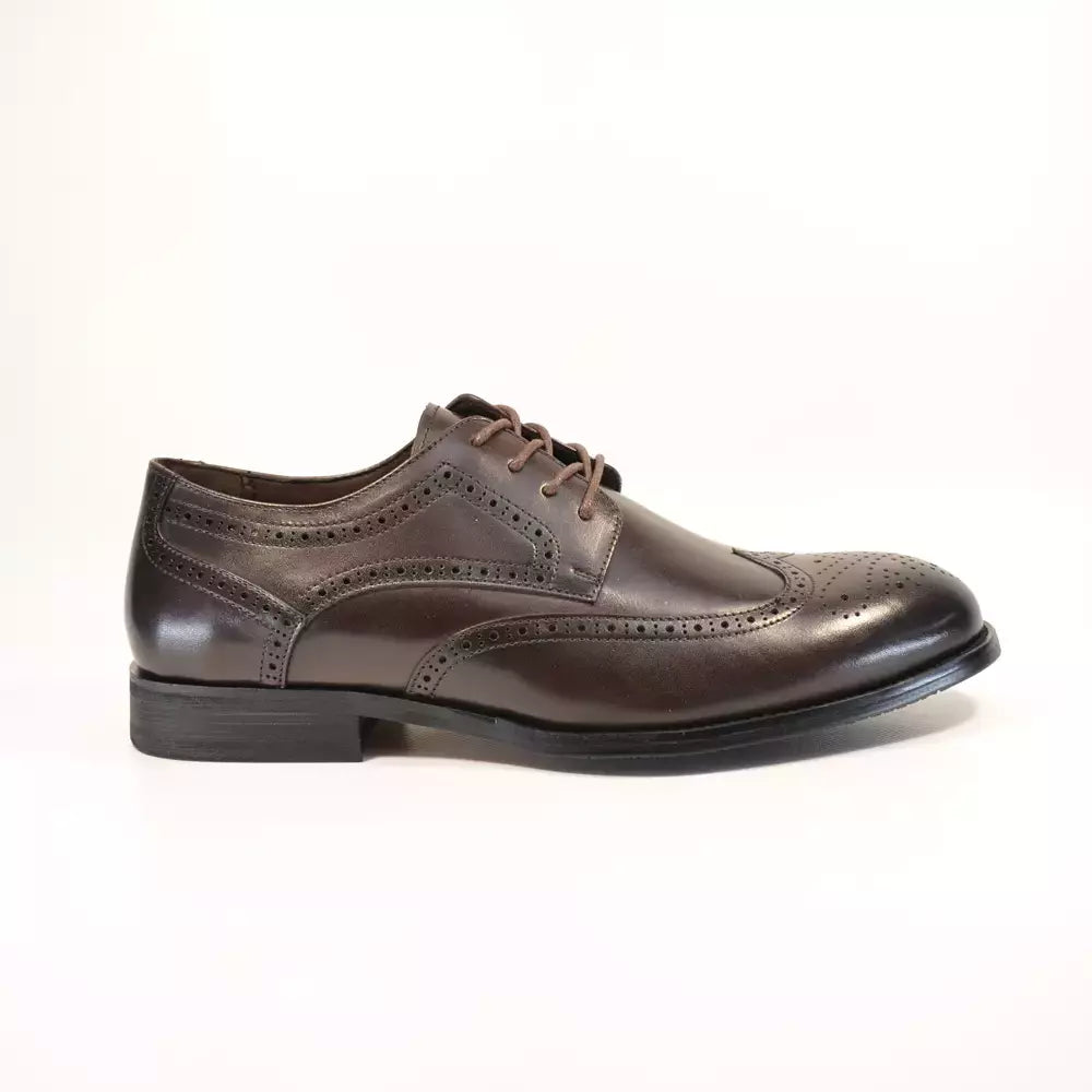 Derby barbati 24522-2 wingtip maro