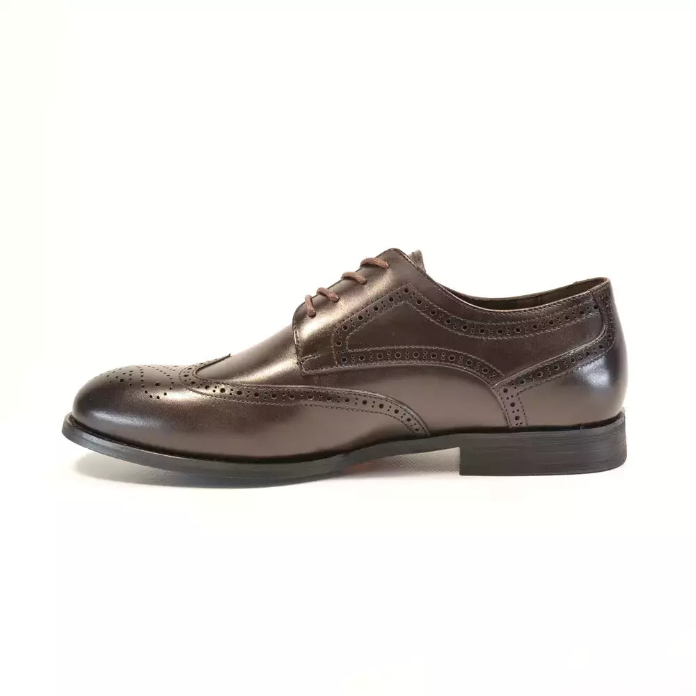 Derby barbati 24522-2 wingtip maro