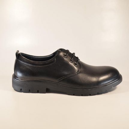 Pantofi casual barbati 169 derby